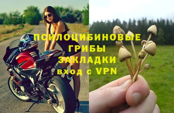 эйфоретик Балахна