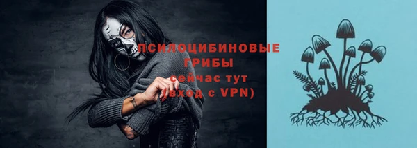 прущие грибы Балабаново