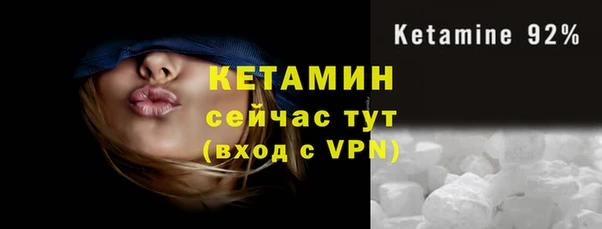 прущие грибы Балабаново
