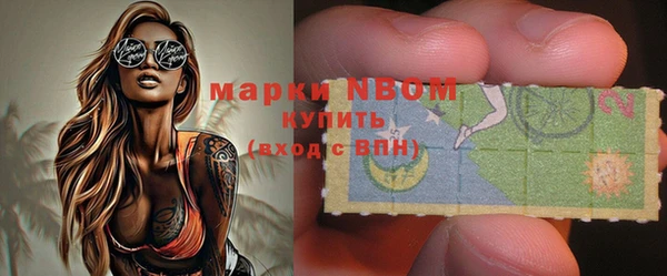 стаф Баксан