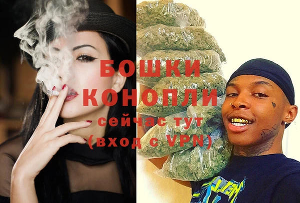 прущие грибы Балабаново