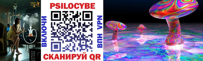 Псилоцибиновые грибы Cubensis Североуральск